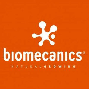 Biomecanics Shoes